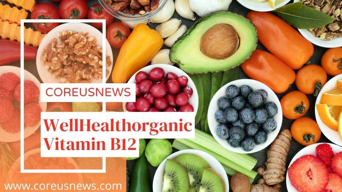 Unlocking the Power of Wellhealthorganic Vitamin B12