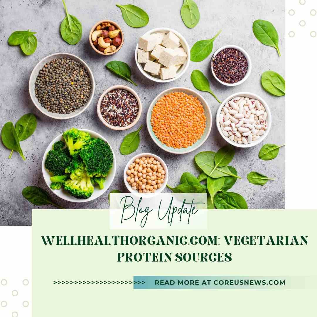 Exploring Wellhealthorganic.com: Vegetarian Protein Sources